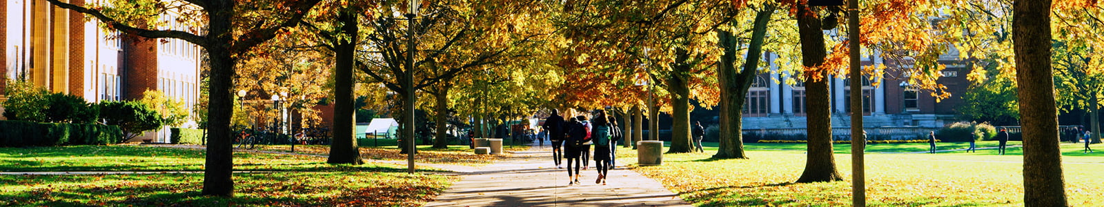 people walking outside
