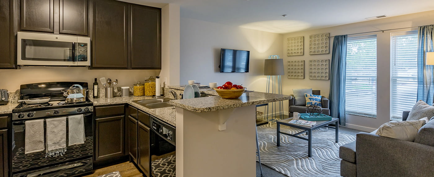 furnished kitchen and living room